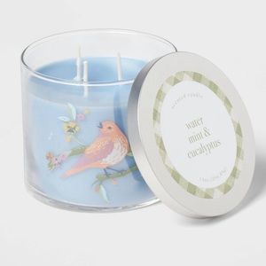 Water Mint & Eucalyptus Spring Candle by Threshold